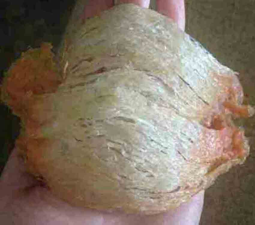 ��������������յ